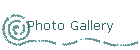Photo Gallery